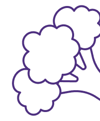 Adcoop - Your trusted fresh food supply partner, offering the finest products in supermarkets and malls