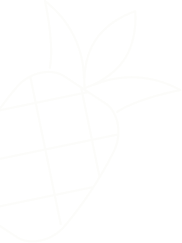 Adcoop trusted in Abu Dhabi for quality, innovation, and nourishment, enhancing communities with fresh food experiences